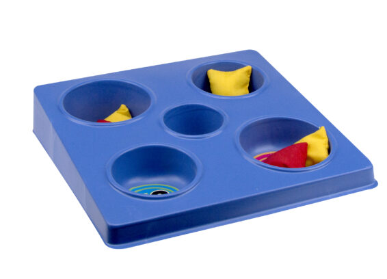 Bean Bag Toss