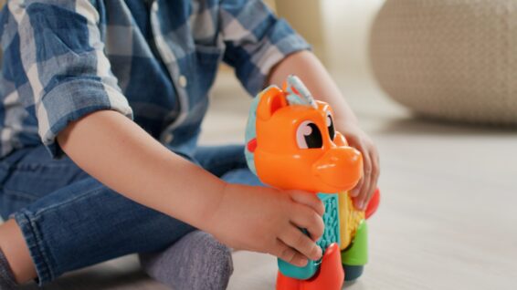 Modimi Pony
