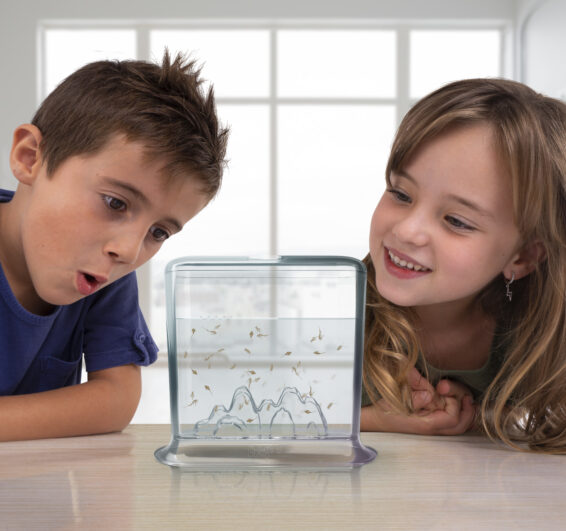 Animagic Aqua Dragons Hatch 'n' Grow Basic Tank