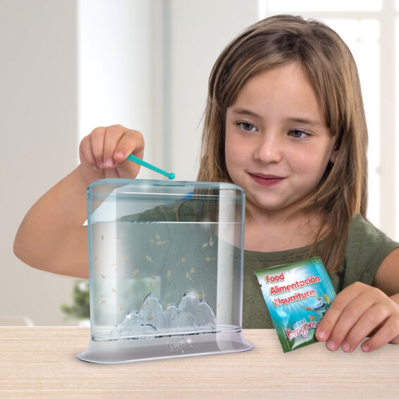 Animagic Aqua Dragons Hatch 'n' Grow Basic Tank