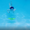 Wahu Sea Gliders Turtle