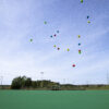 Wahu Sonic Shock Ball Green