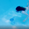 Wahu Sea Gliders Shark