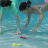 Wahu Dash Divers