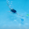 Wahu Sea Gliders Turtle